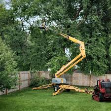 Lawn Grading and Leveling in Spring Lake Heights, NJ